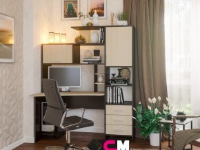 Компьютерный стол №6 в Чайковском - chajkovskij.magazinmebel.ru | фото