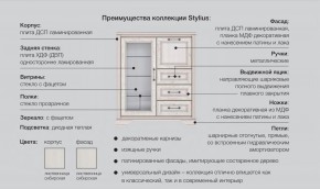 Прихожая модульная Стилиус в Чайковском - chajkovskij.magazinmebel.ru | фото - изображение 2