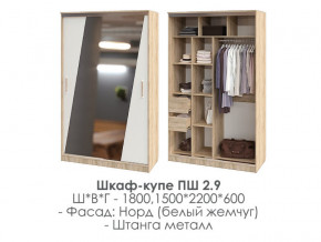 шкаф-купе ПШ-2.9 1500 Норд Белый жемчуг 1500 в Чайковском - chajkovskij.magazinmebel.ru | фото